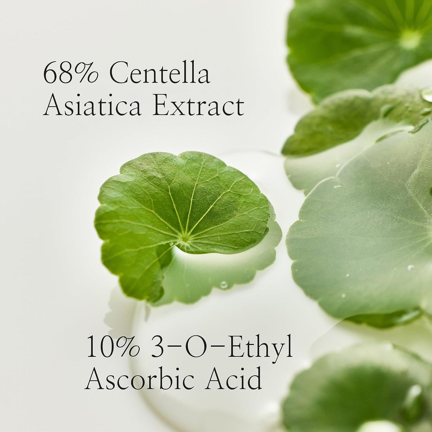 Beauty of Joseon Suero Light on Centella + Vita C